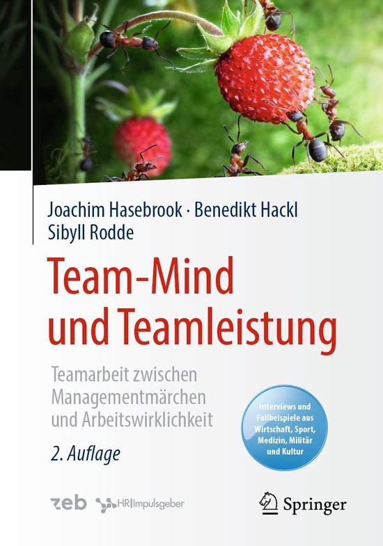 Psychology (German Language) - Team-Mind und Teamleistung - cover