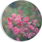 Forex Wandcirkel - Roze Bloementak - 20x20cm Foto op Wandcirkel (met ophangsysteem)