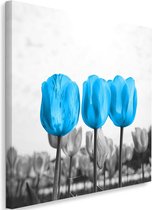 Schilderij Blauwe tulpen in grijs veld, 80x80cm, blauw-grijs