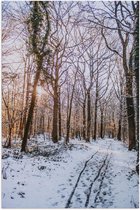 Poster – Bos in de Sneeuw met Zon - 60x90cm Foto op Posterpapier