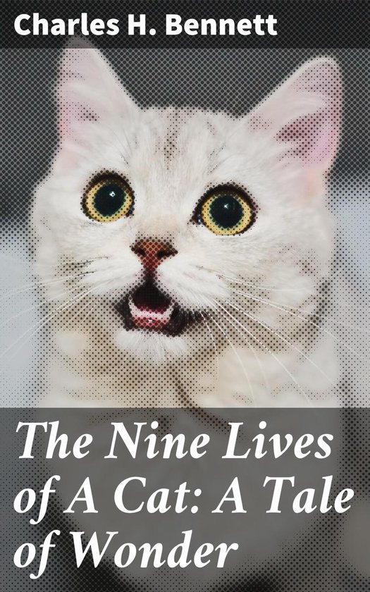 The Nine Lives of A Cat: A Tale of Wonder - cover