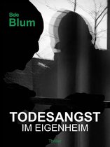 Omslag Todesangst im Eigenheim