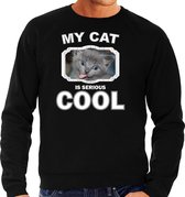 Grijze kat katten trui / sweater my cat is serious cool zwart - heren - katten / poezen liefhebber cadeau sweaters L