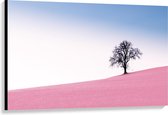 Canvas  - Roze Grasveld  - 120x80cm Foto op Canvas Schilderij (Wanddecoratie op Canvas)