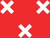 Vlag gemeente Breda 200x300 cm
