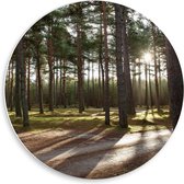 Forex Wandcirkel - Wegen door het Bos - 50x50cm Foto op Wandcirkel (met ophangsysteem)