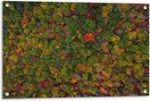 Tuinposter – Gekleurde Bomen van Bovenaf - 90x60cm Foto op Tuinposter  (wanddecoratie voor buiten en binnen)
