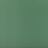 Plus Color Acrylverf, forrest green, 60 ml/ 1 fles