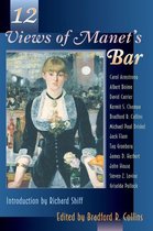 Princeton Series in 19th Century Art, Culture, and Society - Twelve Views of Manet's Bar