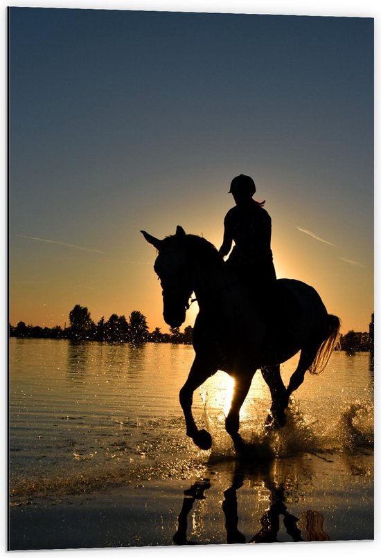 Dibond - Paard met Ruiter in de Zee - 60x90cm Foto op Aluminium (Met Ophangsysteem)