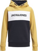 JACK&JONES JUNIOR JJELOGO BLOCKING SWEAT HOOD NOOS JR Jongens Trui - Maat 176