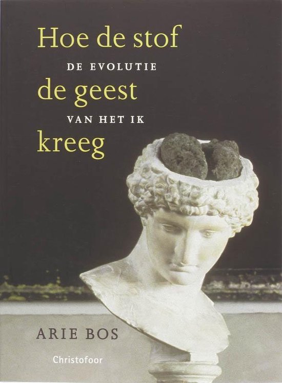 Hoe de stof de geest kreeg - de evolutie van het ik