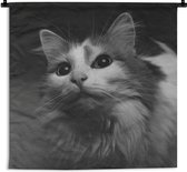 Wandkleed Dierenprofielen in Zwart-Wit - Dierenprofiel kat in zwart-wit Wandkleed katoen 90x90 cm - Wandtapijt met foto