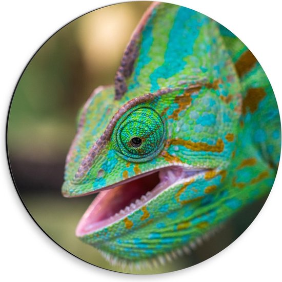 Dibond Wandcirkel - Groene Kameleon met Open Mond - 30x30cm Foto op Aluminium Wandcirkel (met ophangsysteem)