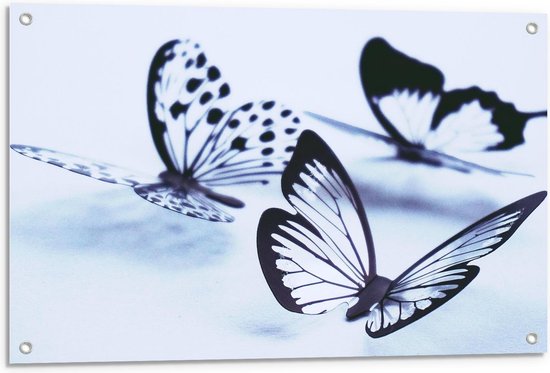 Tuinposter – Doorzichtige Vlinders - 90x60cm Foto op Tuinposter  (wanddecoratie voor buiten en binnen)