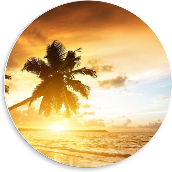 Forex Wandcirkel - Palmboom met Ondergaande Zon aan het Strand  - 50x50cm Foto op Wandcirkel (met ophangsysteem)