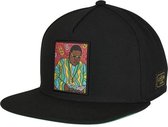 Cayler & Sons Snapback Pet Big Lines Zwart