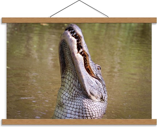Schoolplaat – Uitstekende Kop van Krokodil boven Water - 60x40cm Foto op Textielposter (Wanddecoratie op Schoolplaat)