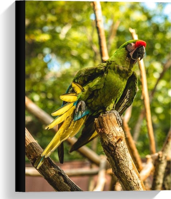 Canvas  - Groene Camouflage Papegaai  - 30x40cm Foto op Canvas Schilderij (Wanddecoratie op Canvas)