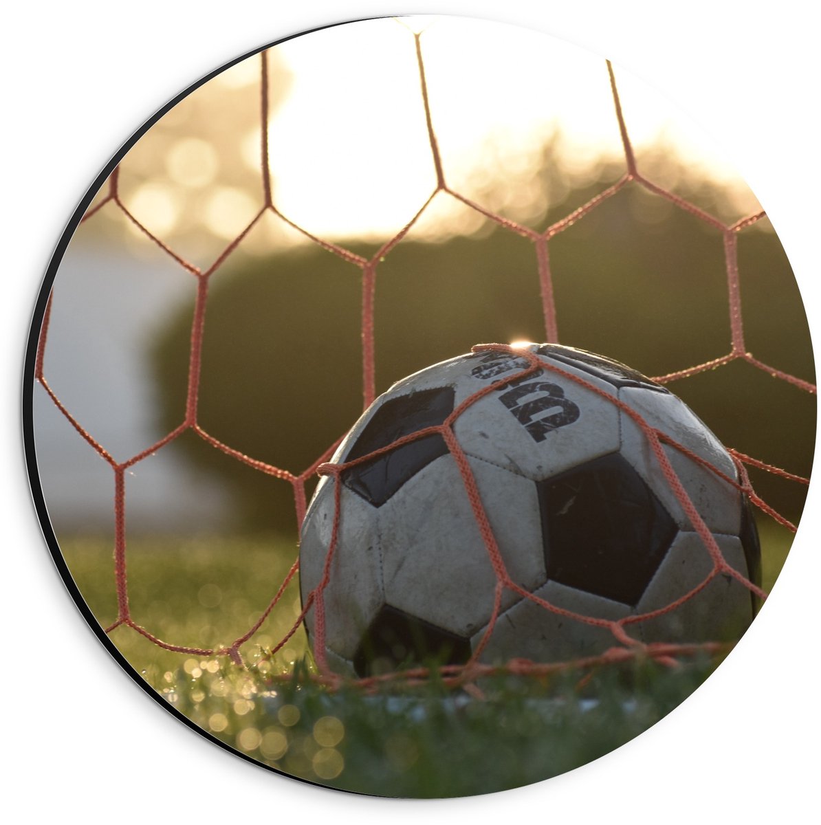 Dibond Wandcirkel - Voetbal in de Goal - 20x20cm Foto op Aluminium Wandcirkel (met ophangsysteem)