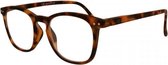 Icon Eyewear YCD215 Jibz Leesbril +2.00 - Mat tortoise