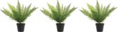 3x Groene adelaarsvaren kunstplanten 48 cm in zwarte pot - Kunstplanten/nepplanten - Varens