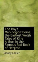 The Boy's Mabinogion