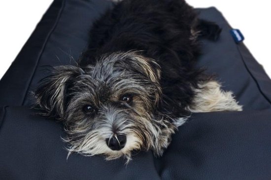 Dog's Companion® Hondenbed - M - 90 x 70 cm - Zwart Leather Look