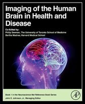 Imaging Of The Human Brain In Health And Disease