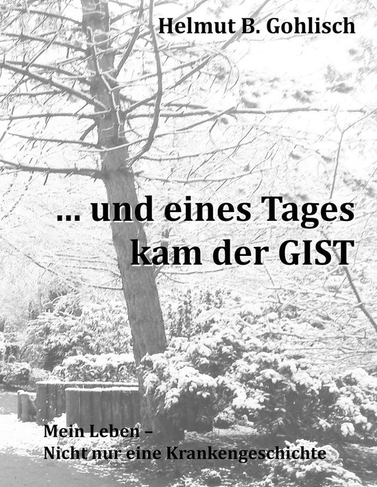 ... und eines Tages kam der GIST - cover