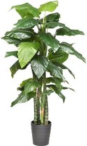 Kunstplant Philodendron H180cm - HTT Decorations