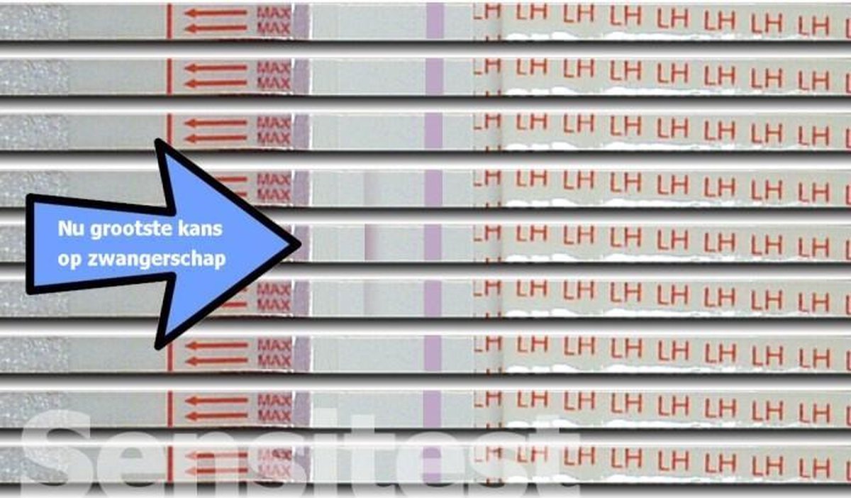 Sensitest Ovulatietest Dipstick – 6 stuks – Gevoelige ovulatietesten – Vind eenvoudig je vruchtbare dagen & vergroot je kans op zwangerschap – Inclusief ovulatiekalender & handleiding – foto 4