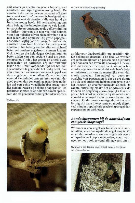 - Kooi en volierevogels encyclopedie, Esther Verhoef 9789036628051 | Boeken | bol.com