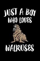 Just A Boy Who Loves Walruses