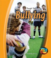 Bullying Big Book