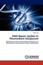 DNA Repair Studies in Plasmodium Falciparum