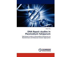 DNA Repair Studies in Plasmodium Falciparum