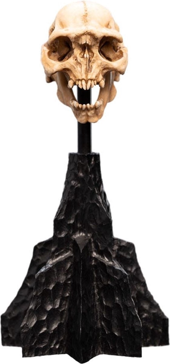 Weta Workshop Lord of the Rings Mini Statue Skull of a Moria Orc 13 cm Beeld