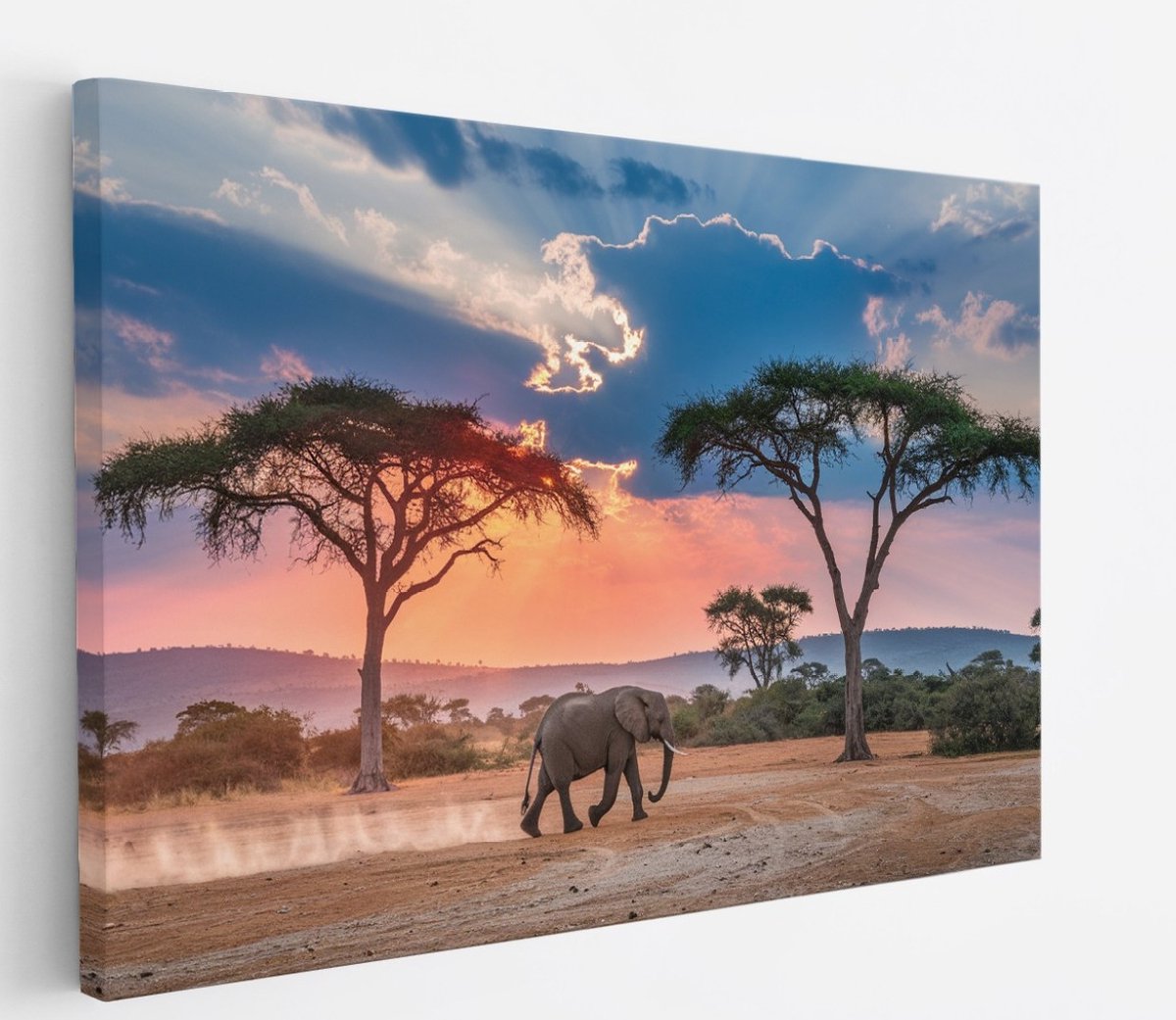 Saammp Canvas Schilderij - olifant in de serangeti - Afrika - Dieren - 70x50 - Foto op canvas - Wanddecoratie - muurdecoratie Woonkamer - Slaapkamer decoratie - Canvas Print Multicolor