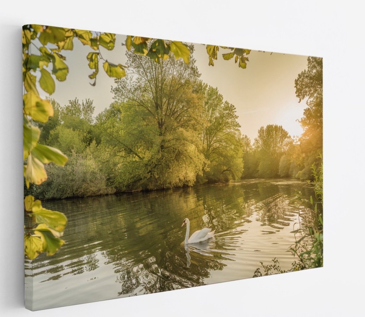 Saammp Canvas Schilderij - Zwaan in zonsondergang - Natuur - Dieren - 45x30 - Foto op canvas - Wanddecoratie - Muurdecoratie Woonkamer - Slaapkamer decoratie - Canvas Print Multicolor