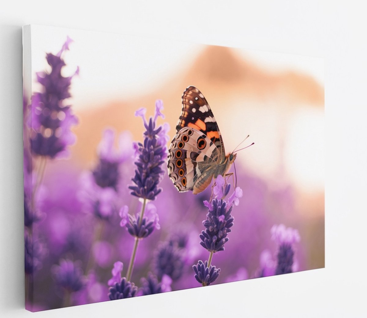 Saammp Canvas Schilderij - Vlinder bij lavendel - Bloemen - Dieren - Natuur - 45x30 - Foto op canvas - Wanddecoratie - muurdecoratie Woonkamer - Slaapkamer decoratie - Canvas Print Multicolor