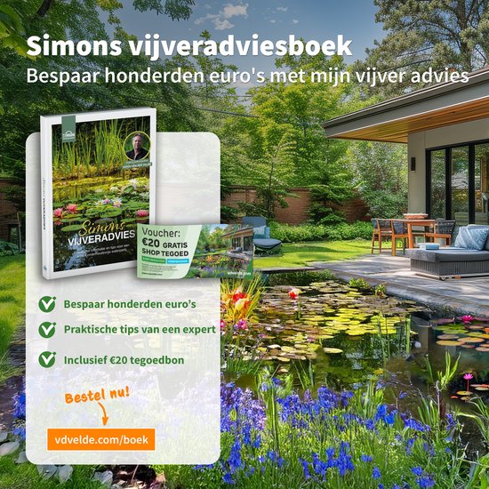 Vijver Reparatie: Wat Heb Je Nodig