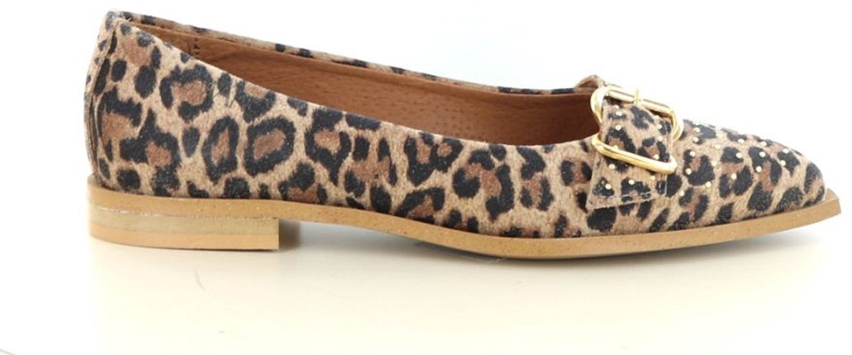 DWRS Port Vila Leopard