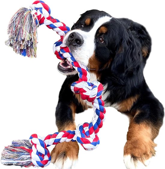 Petit Kauwspeelgoed Milo hond | Goedkoop | Ruim assortiment