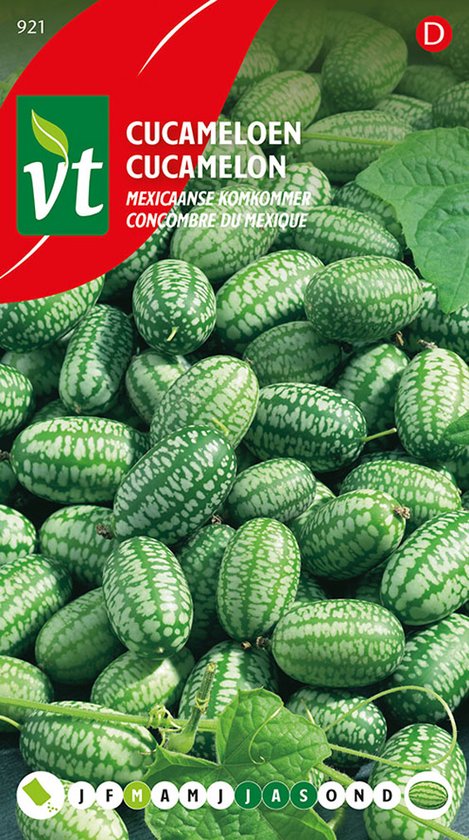 Cucameloen Mexicaanse komkommer - Talrijke vruchtjes, zo groot als een druif