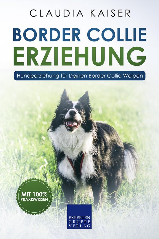Border Collie Erziehung - cover