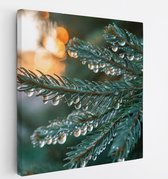 Saammp Canvas Schilderij - Natte pijnboom - Landschap - Natuur - 20x20 - Foto op canvas - Wanddecoratie - Muurdecoratie Woonkamer - Slaapkamer decoratie - Canvas Print