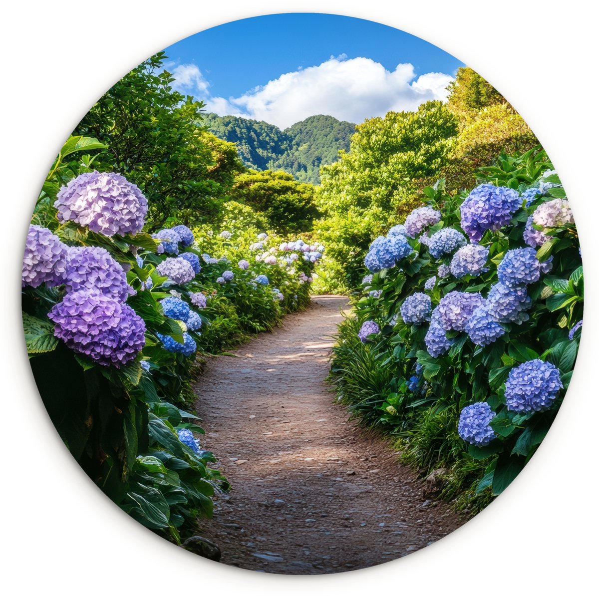 WallCircle Wandcirkel 150x150 cm - Muurcirkel Hortsensia - Pad - Bloemen - Muurdecoratie woonkamer - Wanddecoratie slaapkamer - Kamer decoratie accessoires - Ronde schilderijen Hortensia - Pad