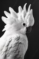 Aluminium, épaisseur 3 mm