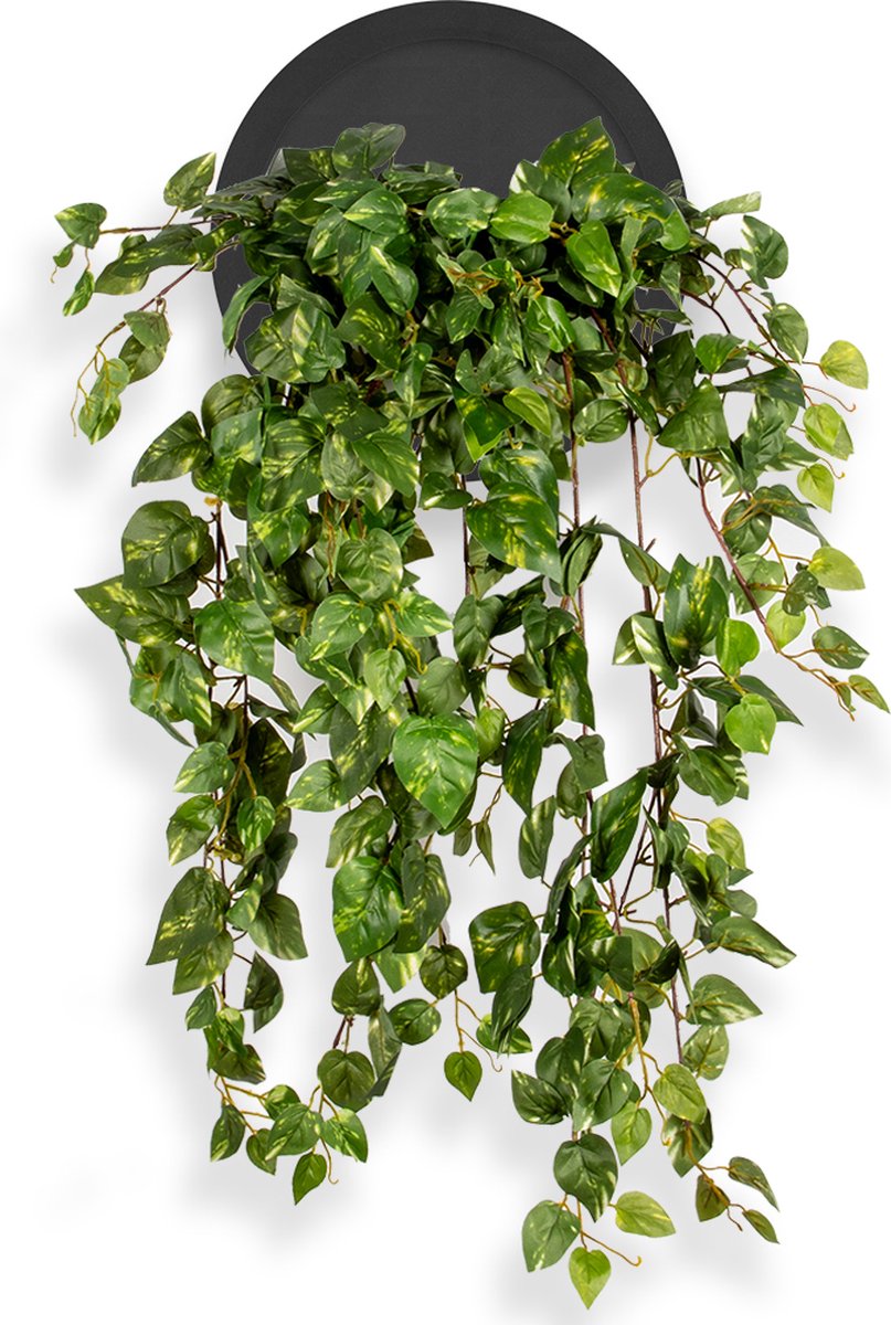 HTT Decorations Kunstplant Scindapsus in Wally Ø30 cm zwart - HTT Decorations kunstplanten